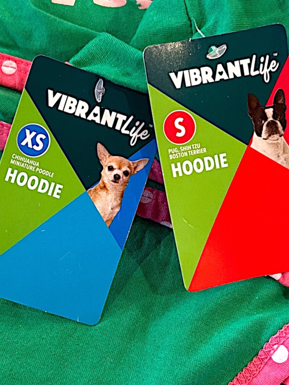 Vibrant Life Majestically Awkward Dog Hoodie - Picture 5 of 16